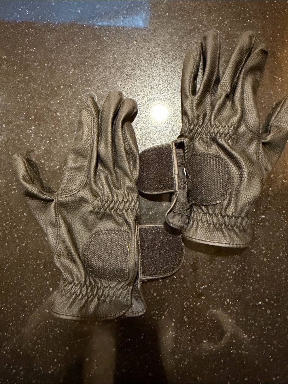 Kunkle Equestrian Premium Show Gloves